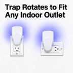 Safer Home Indoor Plug-In Flying Insect Trap Chemical-Free UV LED Fruit Fly, Gnat & Moth Catcher with Sticky Tech Glue Cards